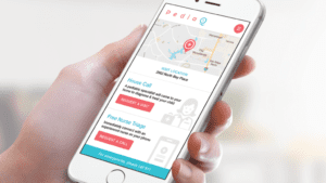 pediaq-app-image