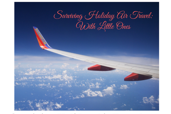 surviving-holiday-air-travel