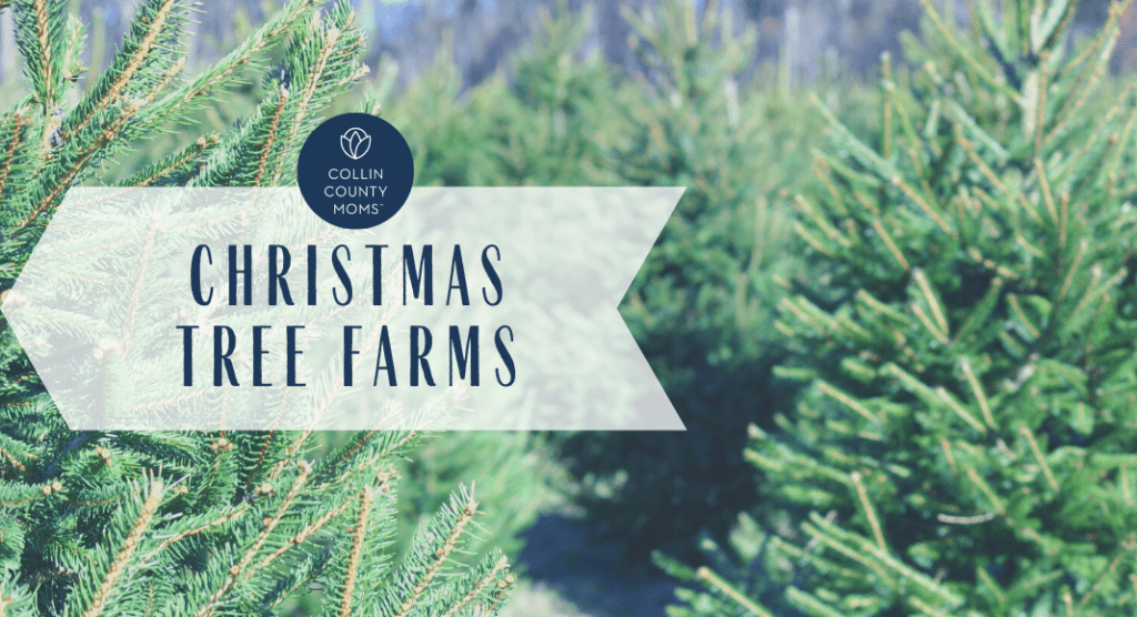 christmas tree farms in collin county