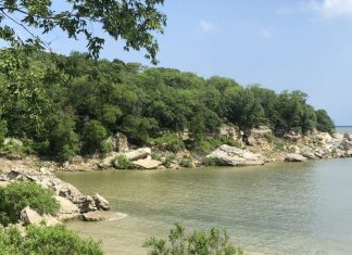 day trips from mckinney