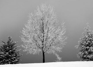 Texas ice storm help