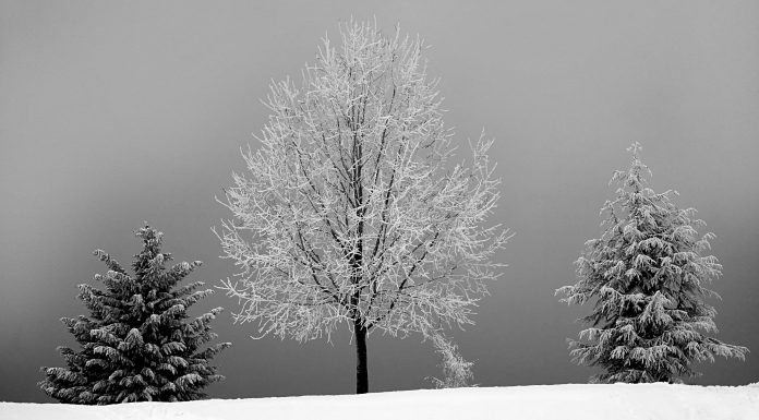 Texas ice storm help