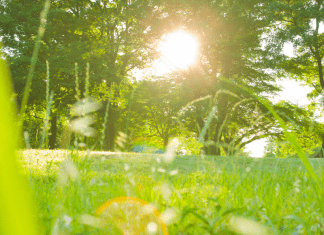 nature areas in Collin County