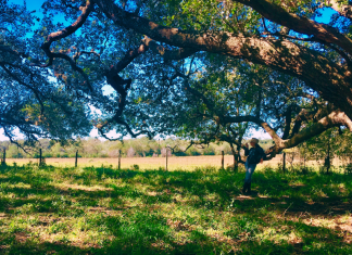 Texas dude ranch, unique family vacations in Texas