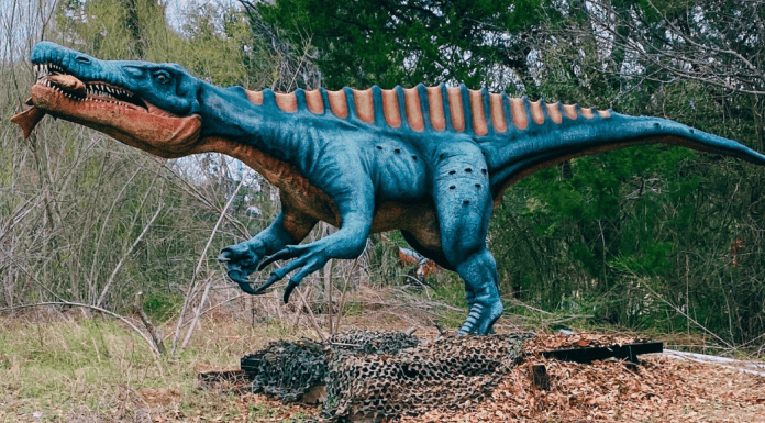 Dallas Zoo Dino Safari