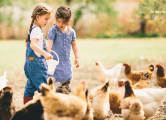 Heritage Farmstead Museum with kids