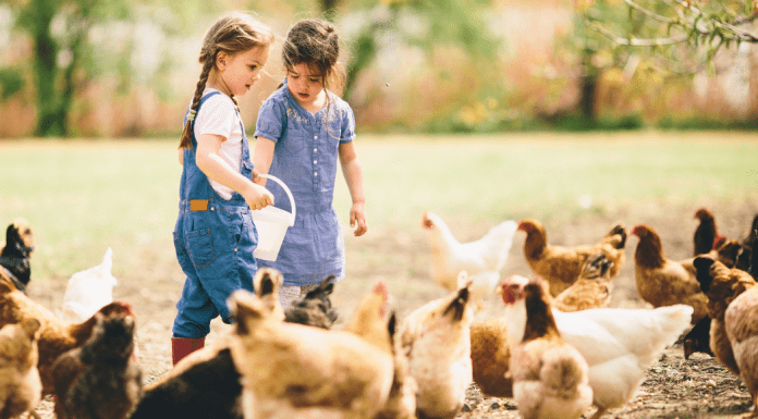 Heritage Farmstead Museum with kids