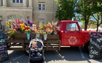 lil' red flower truck downtown McKinney