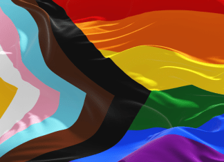 pride progress flag