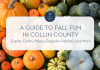 Pumpkins with text "Collin County Moms :: A guide to fall fun in Collin County :: Events, farms, mazes, pumpkin patches, and more"