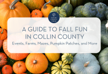 Pumpkins with text "Collin County Moms :: A guide to fall fun in Collin County :: Events, farms, mazes, pumpkin patches, and more"