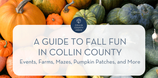 Pumpkins with text "Collin County Moms :: A guide to fall fun in Collin County :: Events, farms, mazes, pumpkin patches, and more"