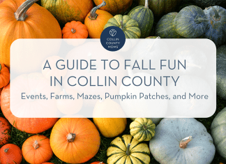 Pumpkins with text "Collin County Moms :: A guide to fall fun in Collin County :: Events, farms, mazes, pumpkin patches, and more"