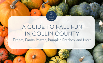 Pumpkins with text "Collin County Moms :: A guide to fall fun in Collin County :: Events, farms, mazes, pumpkin patches, and more"