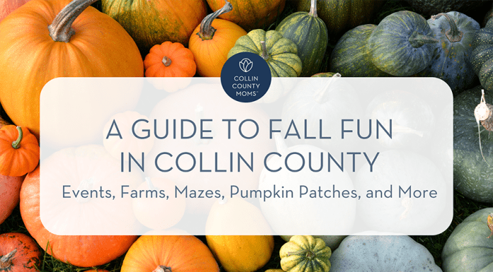 Pumpkins with text "Collin County Moms :: A guide to fall fun in Collin County :: Events, farms, mazes, pumpkin patches, and more"