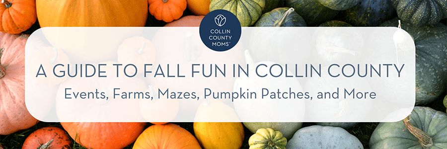 A Guide to Fall Fun In Collin County, Events, Farms, Mazes, Pumpkin Patches, and More