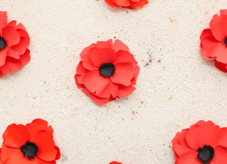 Paper red poppies