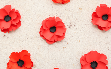 Paper red poppies