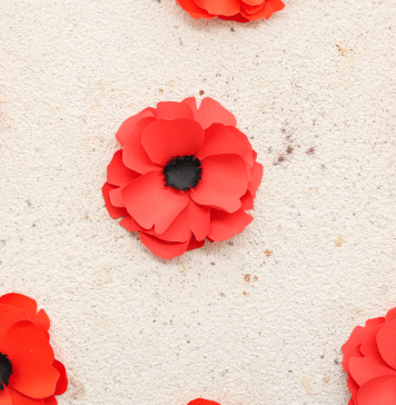 Paper red poppies