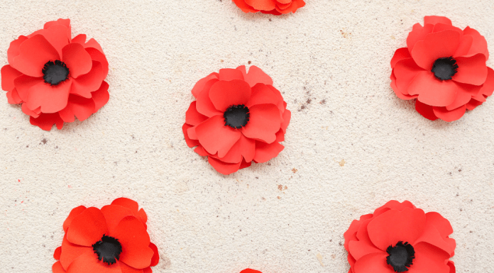 Paper red poppies