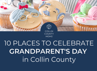 Cupcakes decorated as a graying grandma and grandpa with title "Collin County Moms 10 Places to Celebrate Grandparent's Day in Collin County."