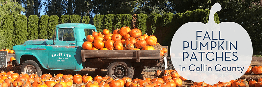 Collin County pumpkin patches