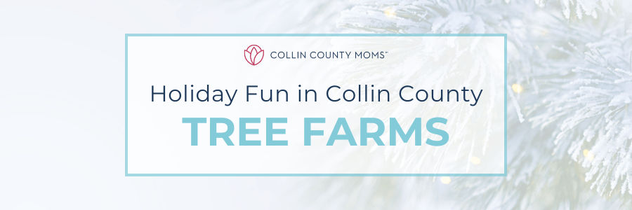 Holiday Fun in Collin County Tree Farms